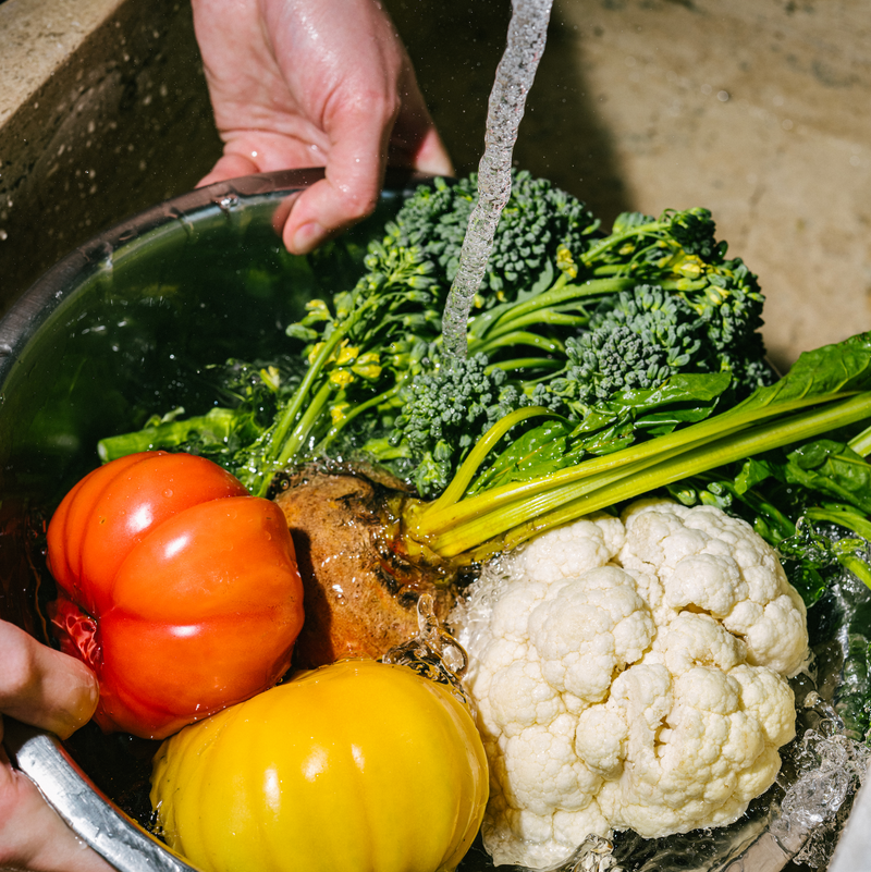 Alfalfa raises $2M to bolster growth