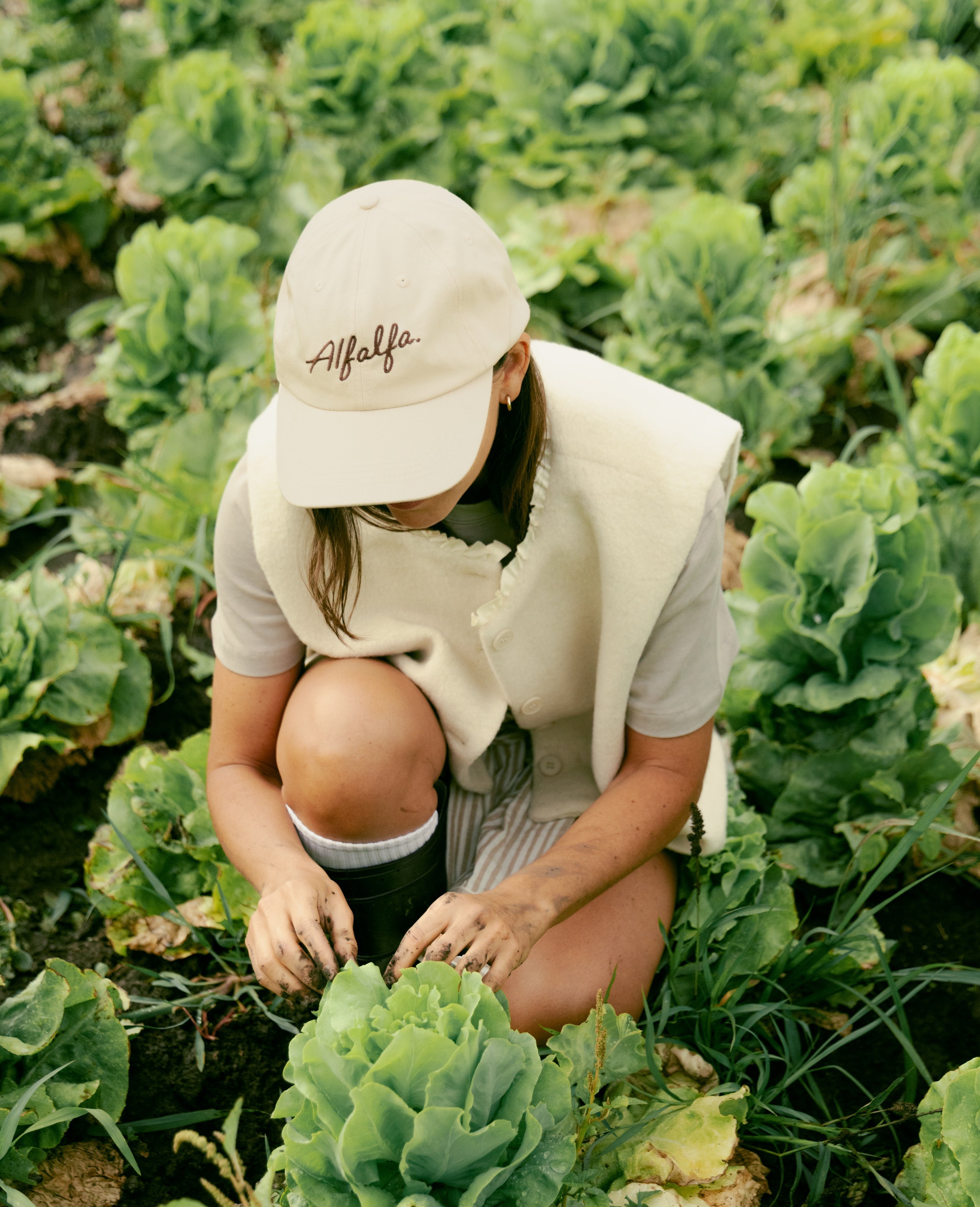 Alfalfa Cap
